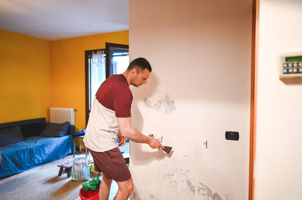 Home Mold Removal in Melrose Park, IL